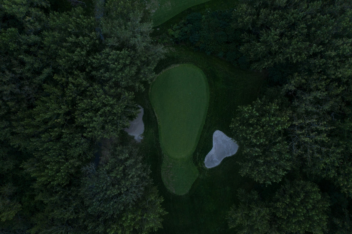 an aerial view of a golf course surrounded by trees
