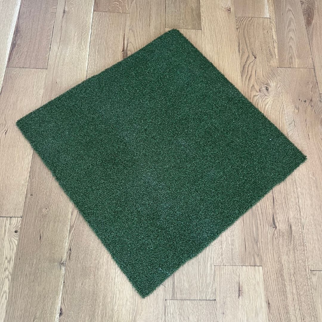 Shop Indoor Golf - TIGS Money Putt Golf Turf