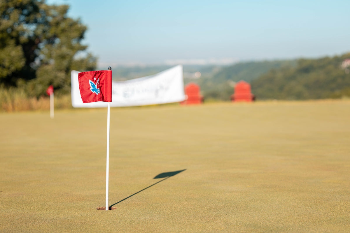 red white and blue flag on green field during daytime